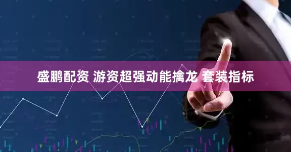盛鹏配资 游资超强动能擒龙 套装指标