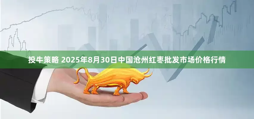 投牛策略 2025年8月30日中国沧州红枣批发市场价格行情