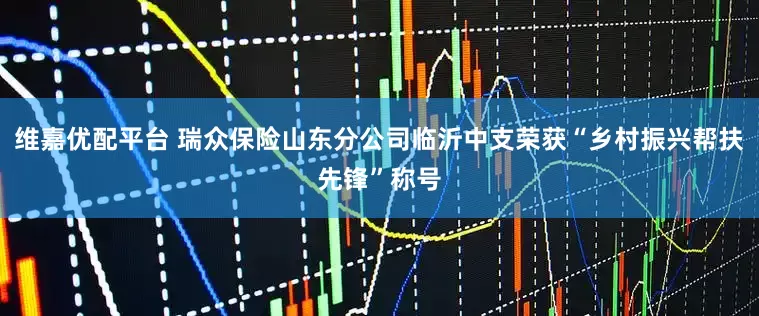 维嘉优配平台 瑞众保险山东分公司临沂中支荣获“乡村振兴帮扶先锋”称号