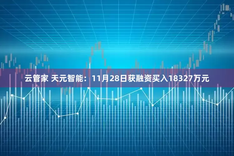 云管家 天元智能：11月28日获融资买入18327万元